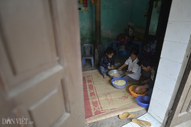 Ước mơ bữa cơm có thịt của gia đình người lùn ở Hưng Yên